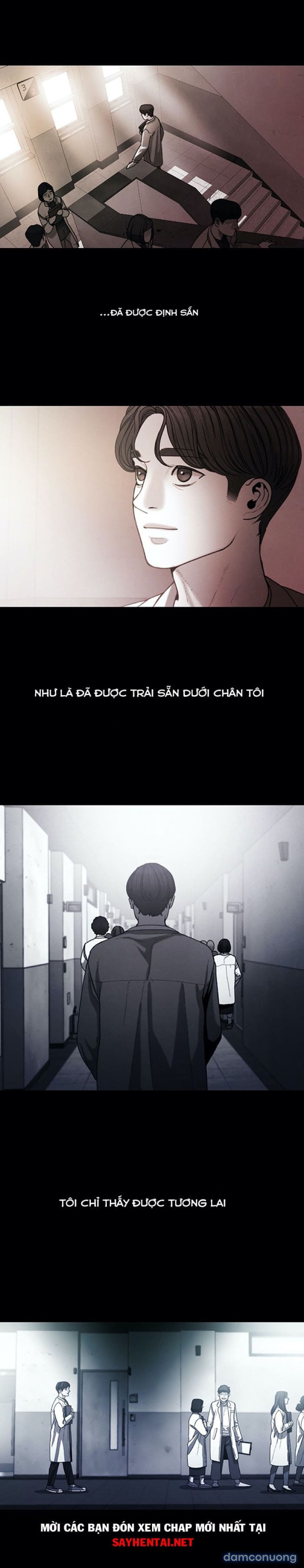 Vẻ Đẹp Thu Hút Kẻ Săn Mồi 