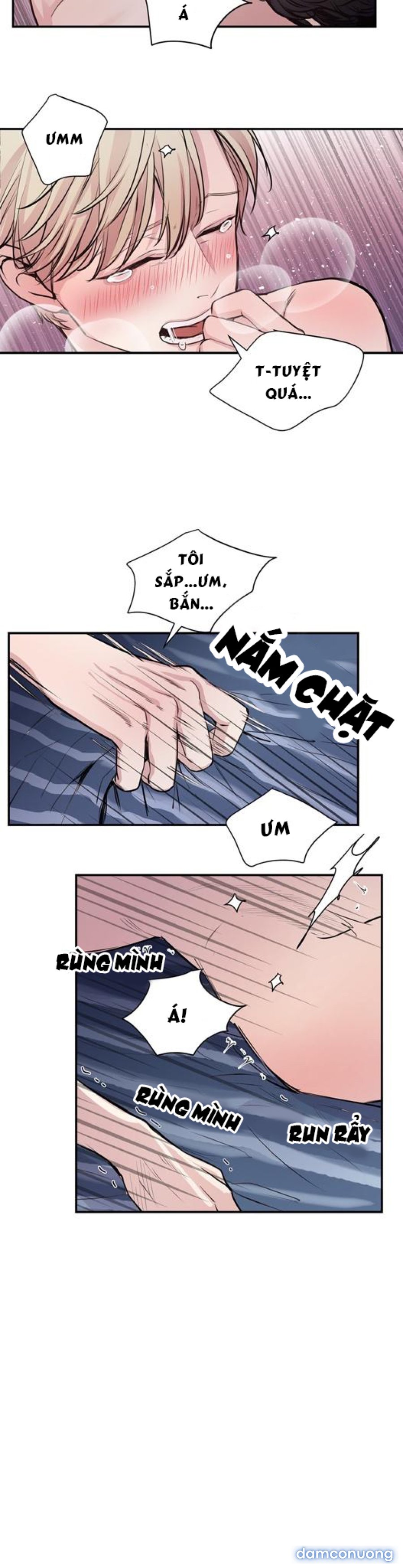 Scandalous M từ chap 30 hết 