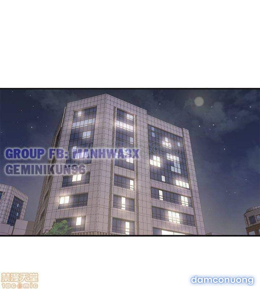 Nàng Sếp trẻ tuổi 