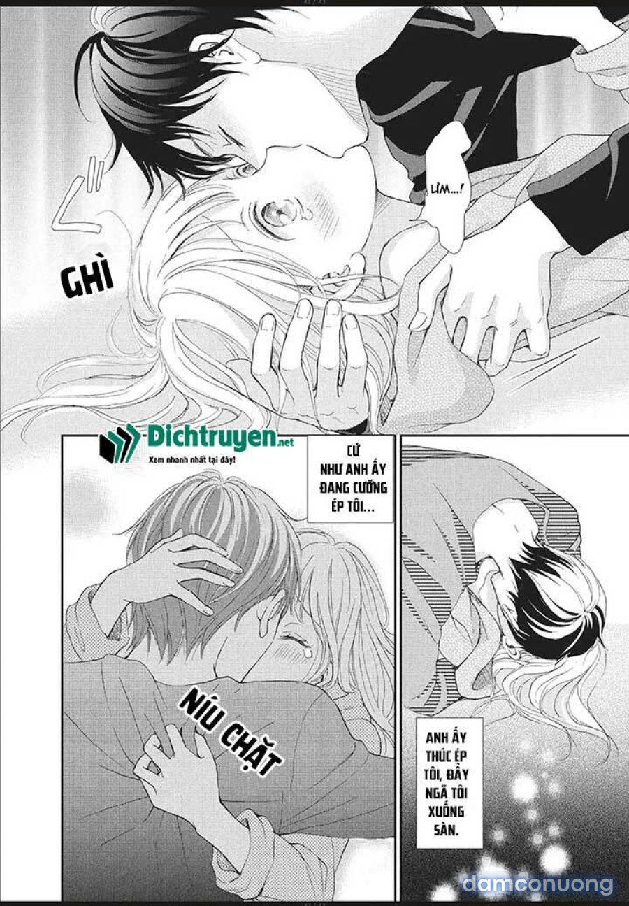 Cô mèo con của sếp nhà tôi 