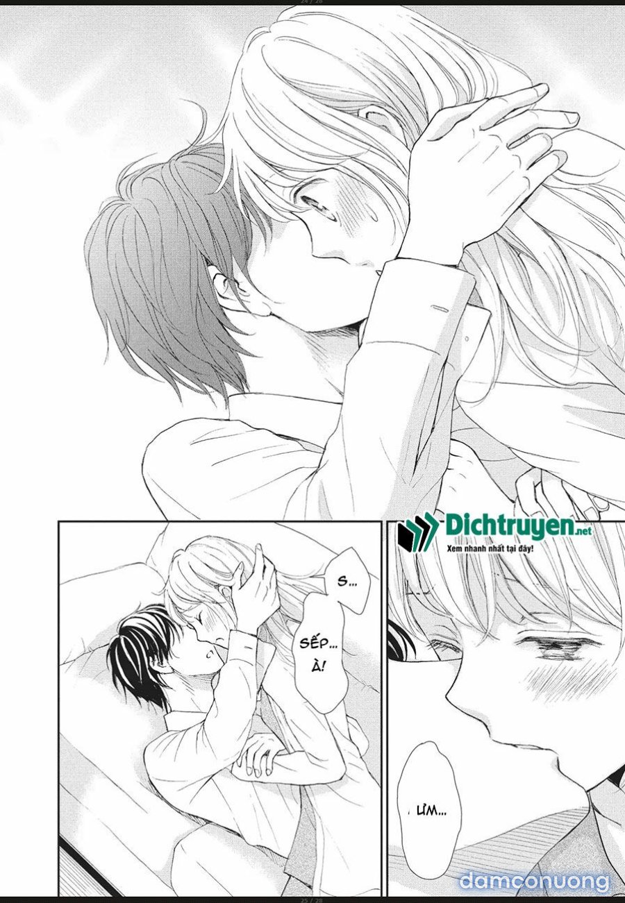 Cô mèo con của sếp nhà tôi 