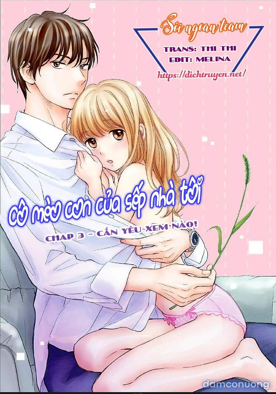 Cô mèo con của sếp nhà tôi 