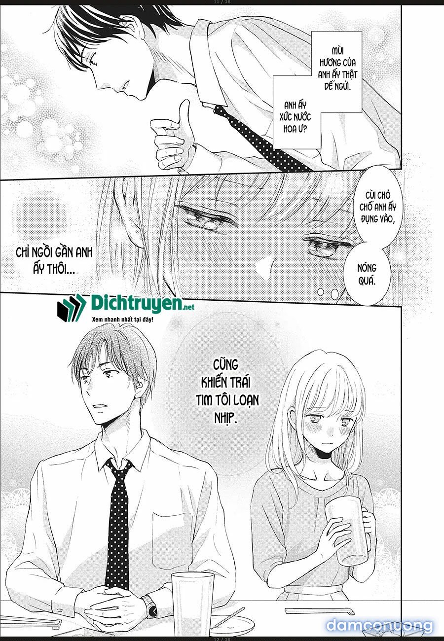 Cô mèo con của sếp nhà tôi 