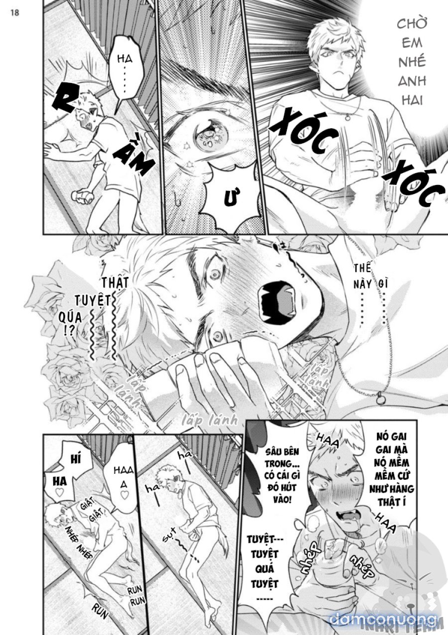 Gangimari Hatsujo Panchiline 