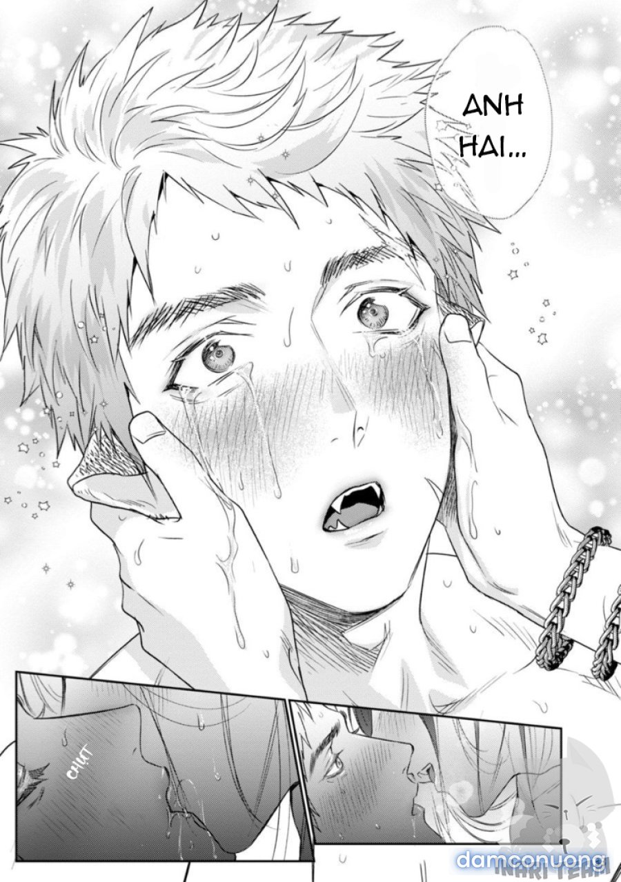 Gangimari Hatsujo Panchiline 