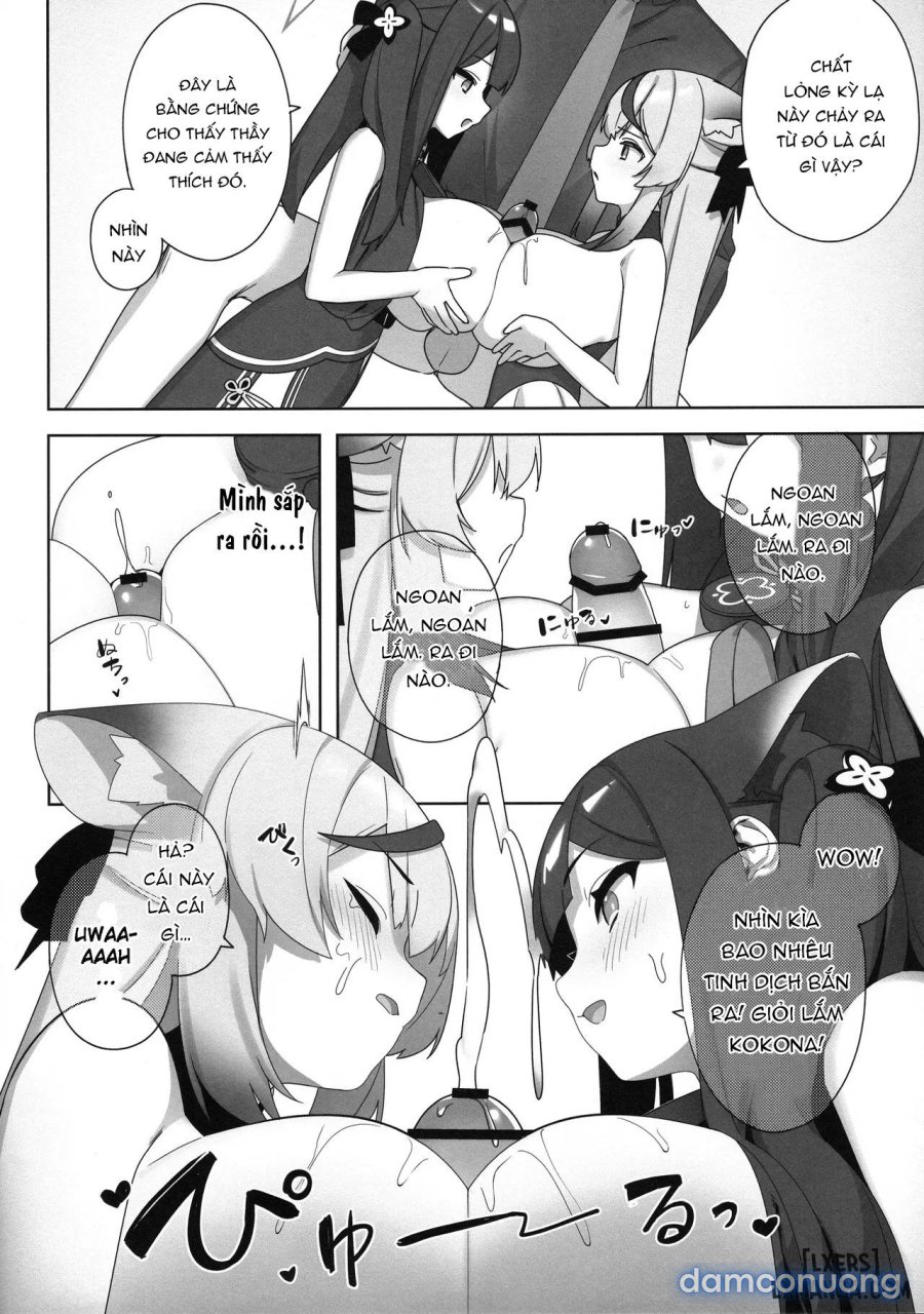 Shuekoko Expansion 