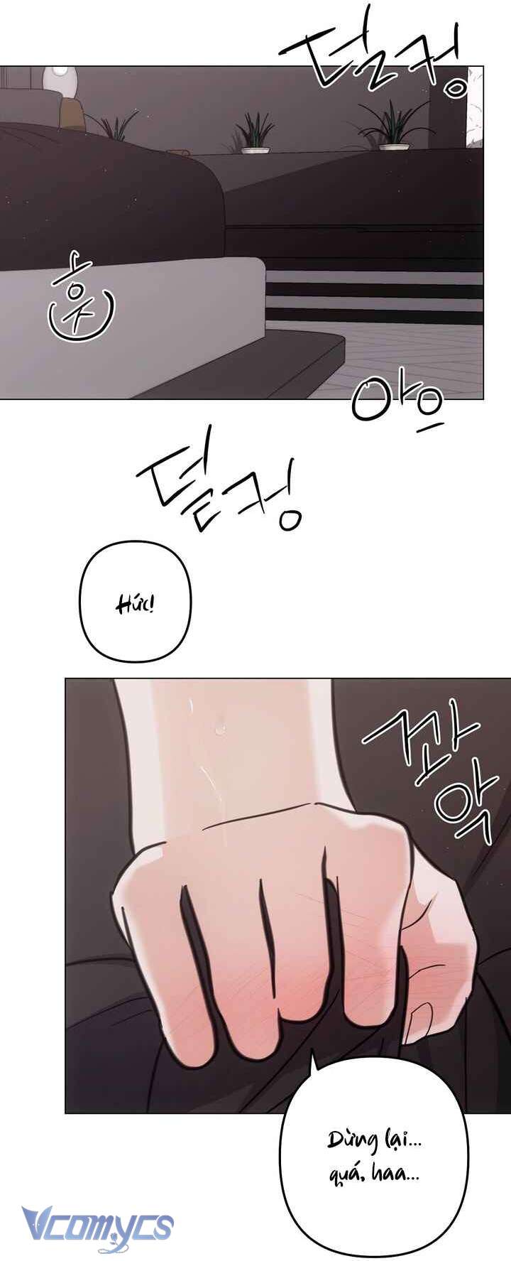 [18+] Vì Những Thứ Đã Tan Vỡ 