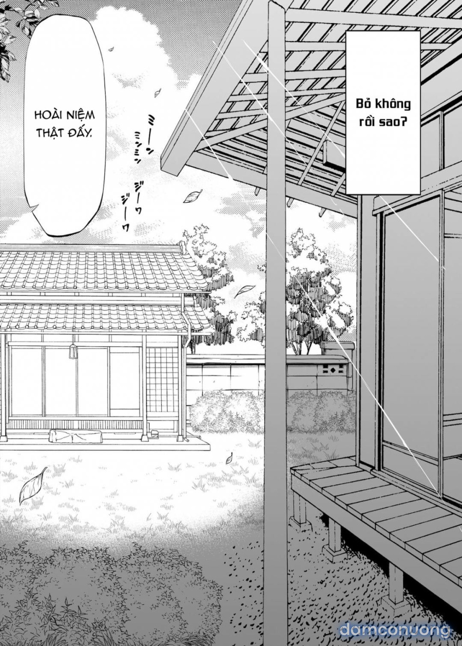 Natsu no Yari Naoshi 