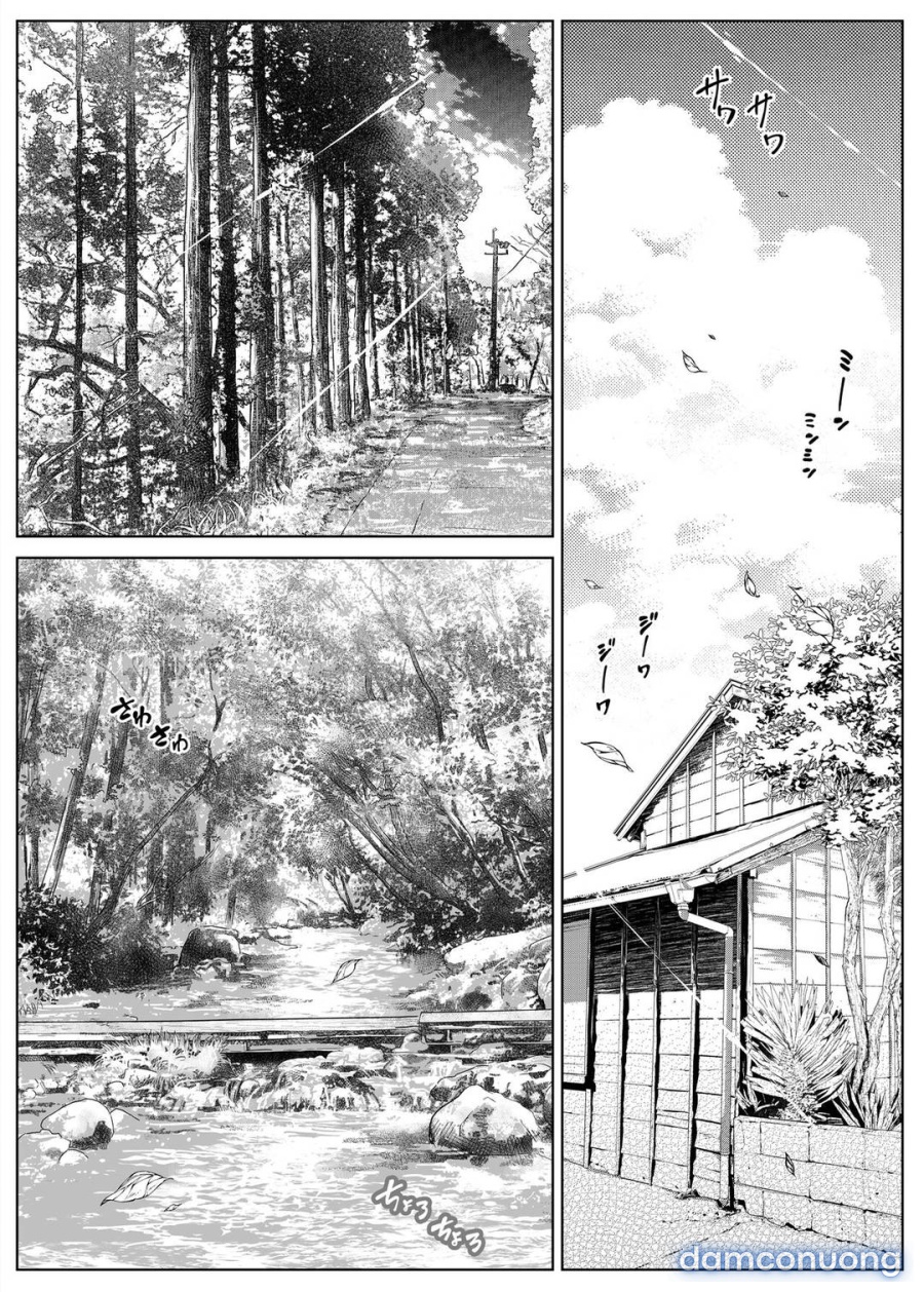 Natsu no Yari Naoshi 