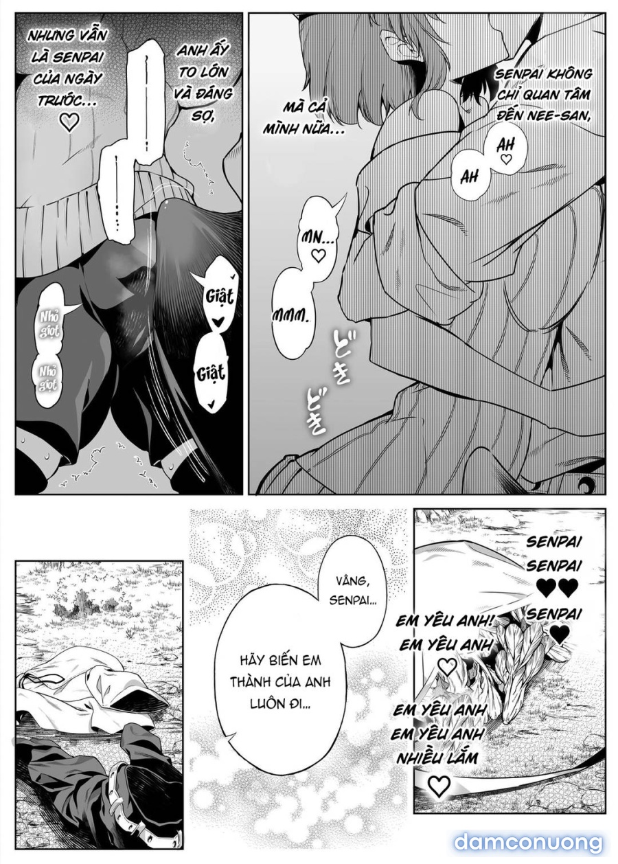 Natsu no Yari Naoshi 
