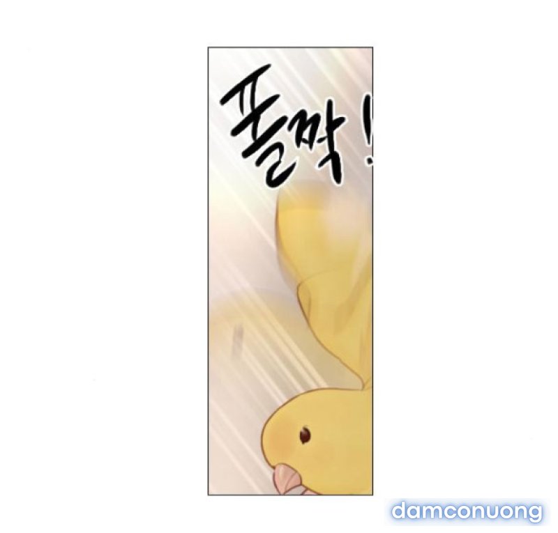 KHÓC ĐI HAY LÀ CẦU XIN TÔI CŨNG ĐƯỢC 
