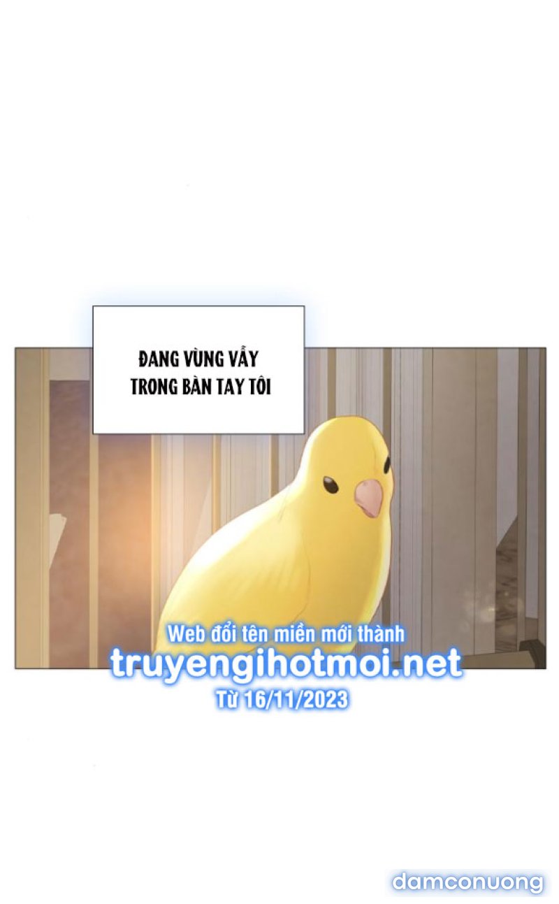 KHÓC ĐI HAY LÀ CẦU XIN TÔI CŨNG ĐƯỢC 