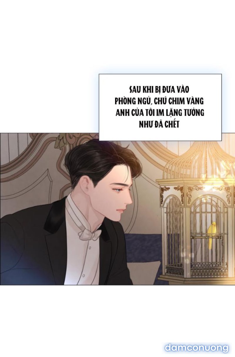 KHÓC ĐI HAY LÀ CẦU XIN TÔI CŨNG ĐƯỢC 