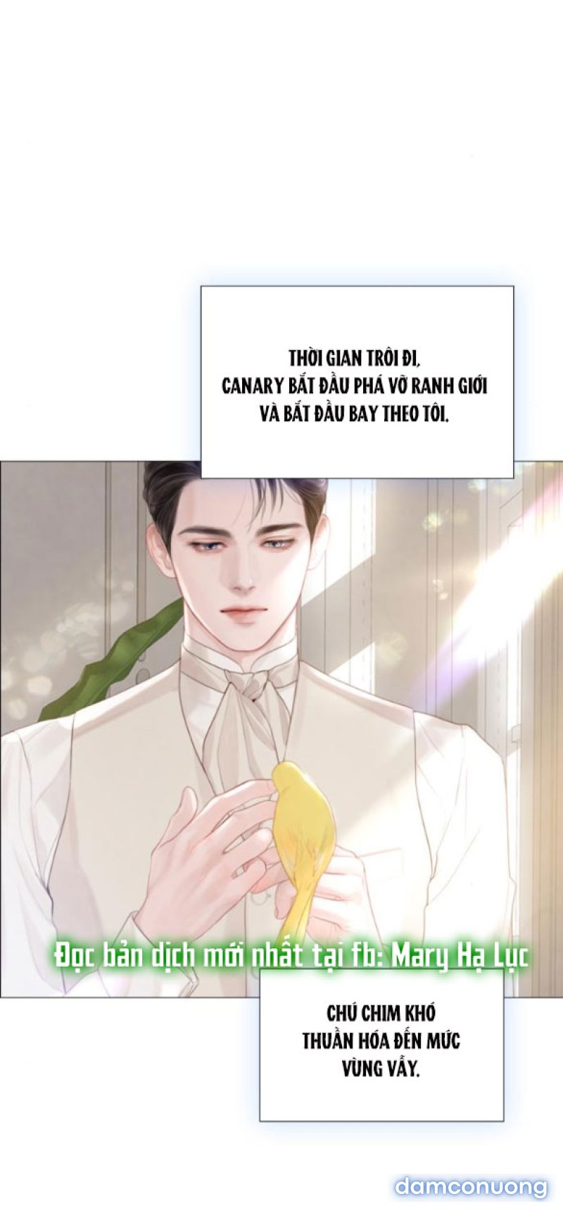 KHÓC ĐI HAY LÀ CẦU XIN TÔI CŨNG ĐƯỢC 