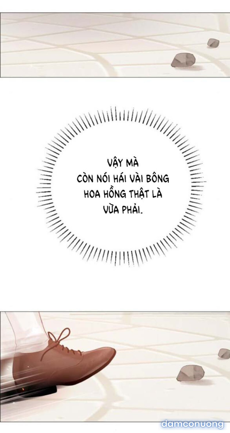 KHÓC ĐI HAY LÀ CẦU XIN TÔI CŨNG ĐƯỢC 