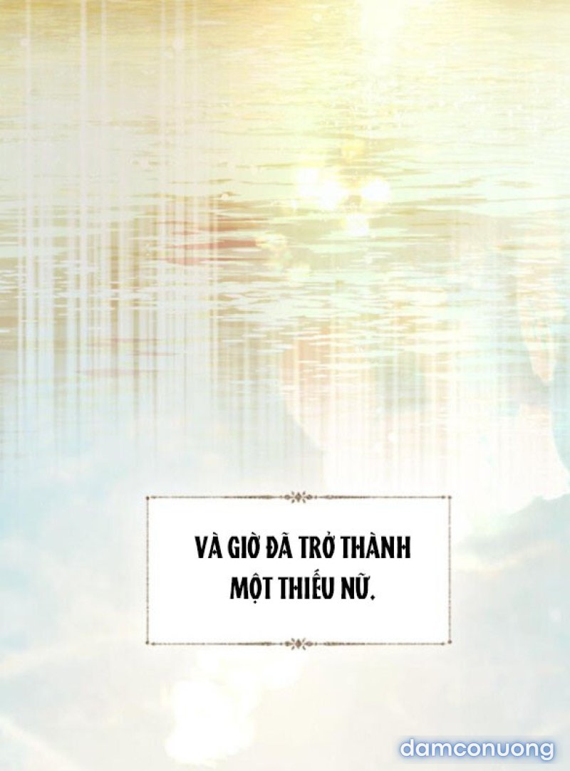 KHÓC ĐI HAY LÀ CẦU XIN TÔI CŨNG ĐƯỢC 