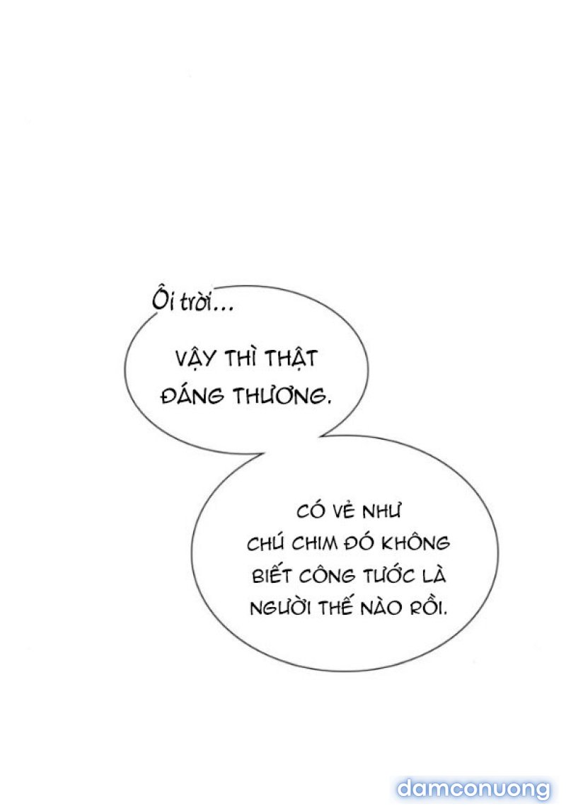 KHÓC ĐI HAY LÀ CẦU XIN TÔI CŨNG ĐƯỢC 
