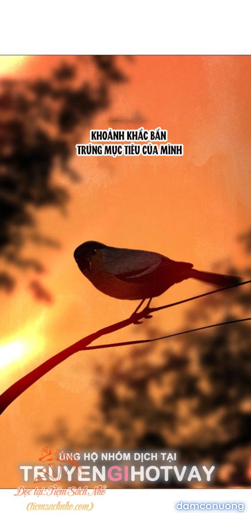 KHÓC ĐI HAY LÀ CẦU XIN TÔI CŨNG ĐƯỢC 