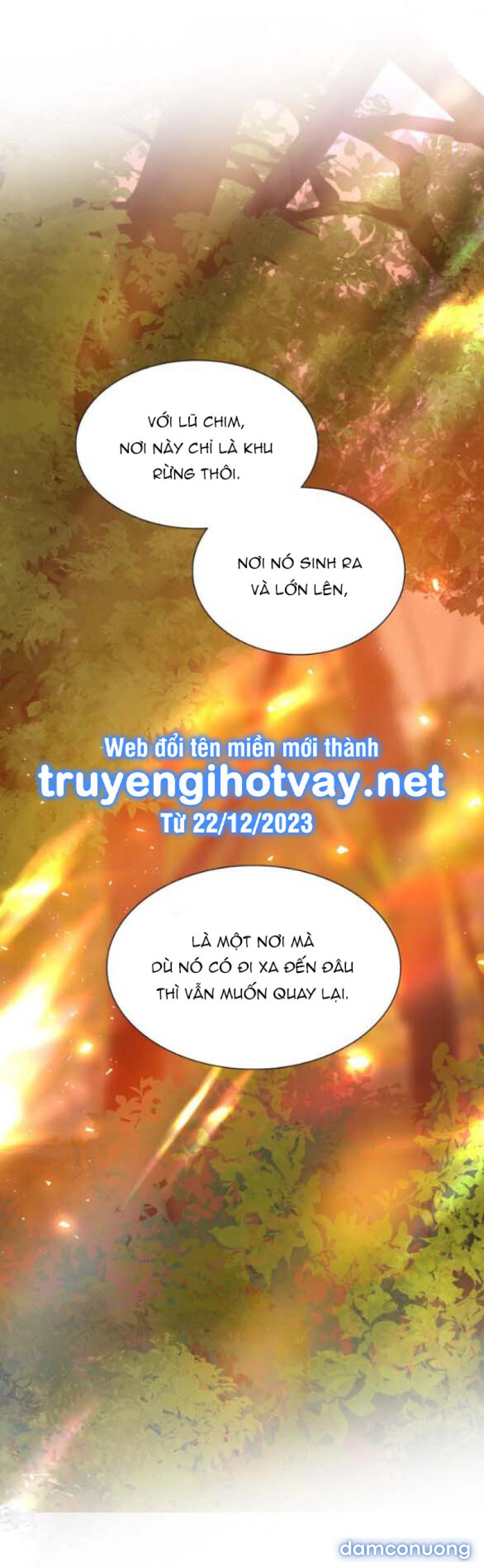 KHÓC ĐI HAY LÀ CẦU XIN TÔI CŨNG ĐƯỢC 