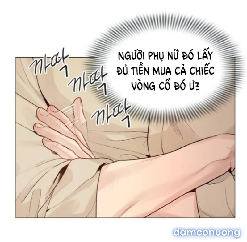 KHÓC ĐI HAY LÀ CẦU XIN TÔI CŨNG ĐƯỢC 