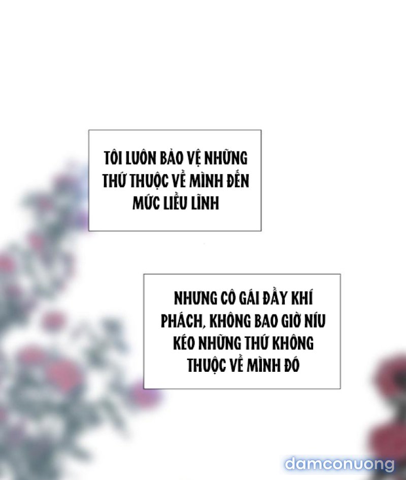 KHÓC ĐI HAY LÀ CẦU XIN TÔI CŨNG ĐƯỢC 