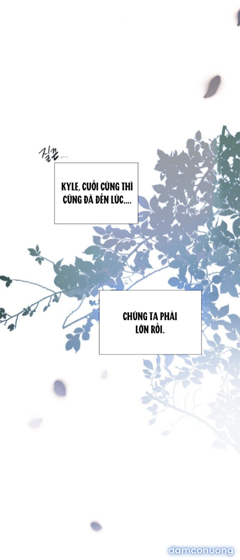 KHÓC ĐI HAY LÀ CẦU XIN TÔI CŨNG ĐƯỢC 