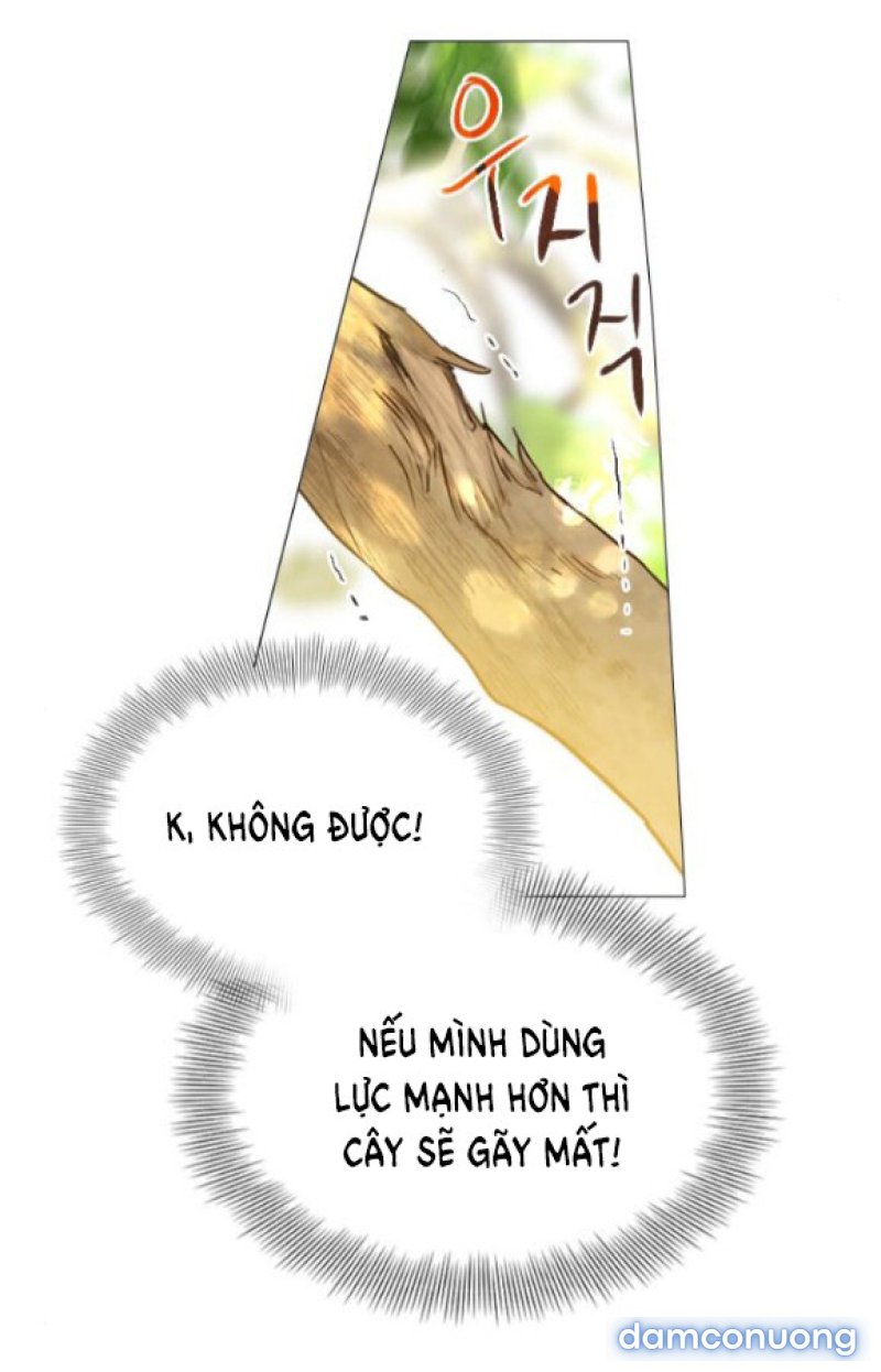 KHÓC ĐI HAY LÀ CẦU XIN TÔI CŨNG ĐƯỢC 