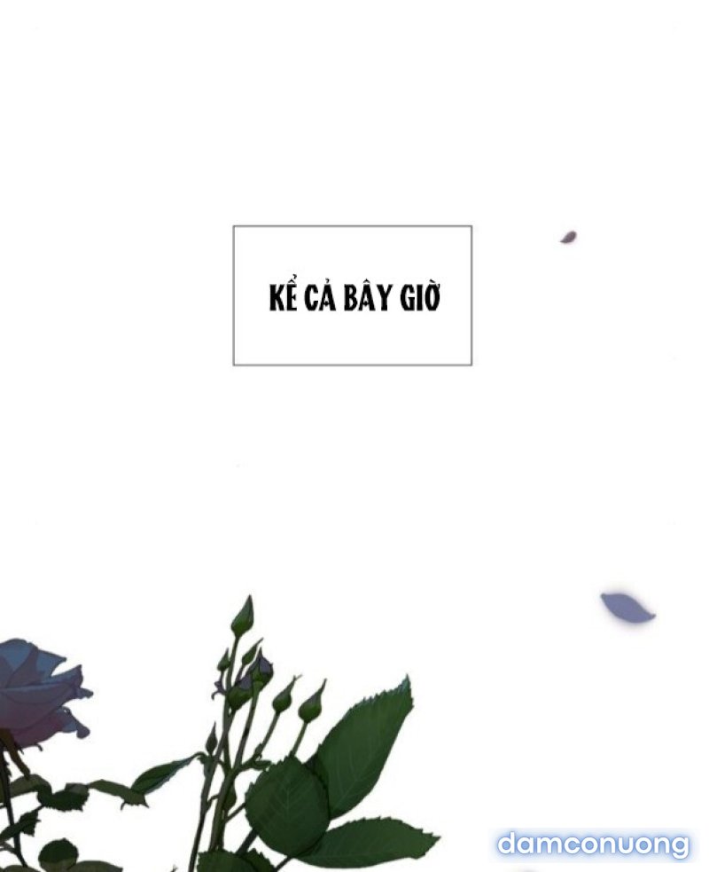 KHÓC ĐI HAY LÀ CẦU XIN TÔI CŨNG ĐƯỢC 