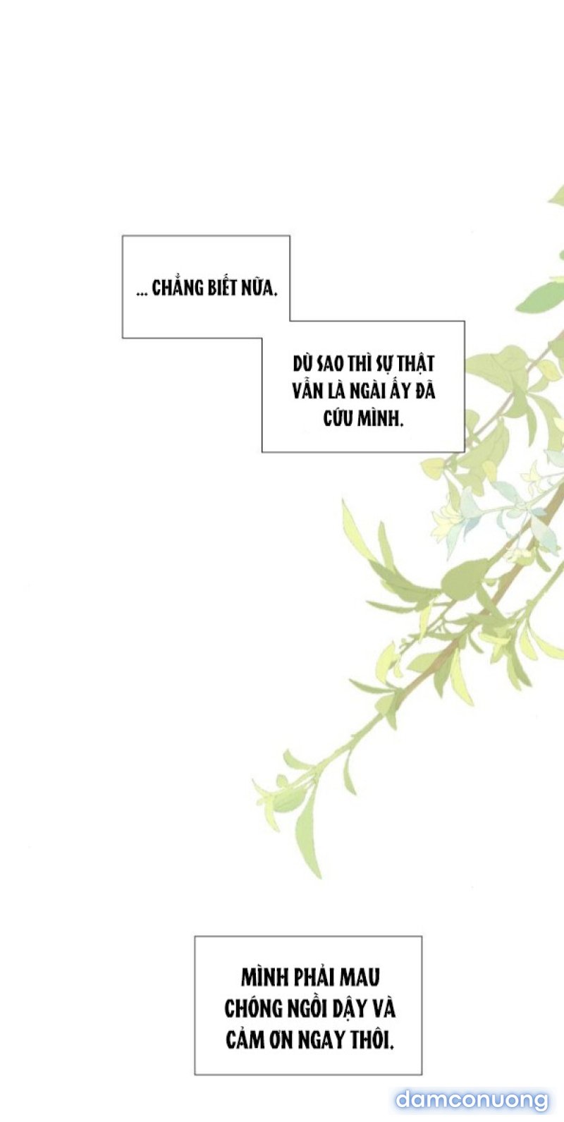 KHÓC ĐI HAY LÀ CẦU XIN TÔI CŨNG ĐƯỢC 