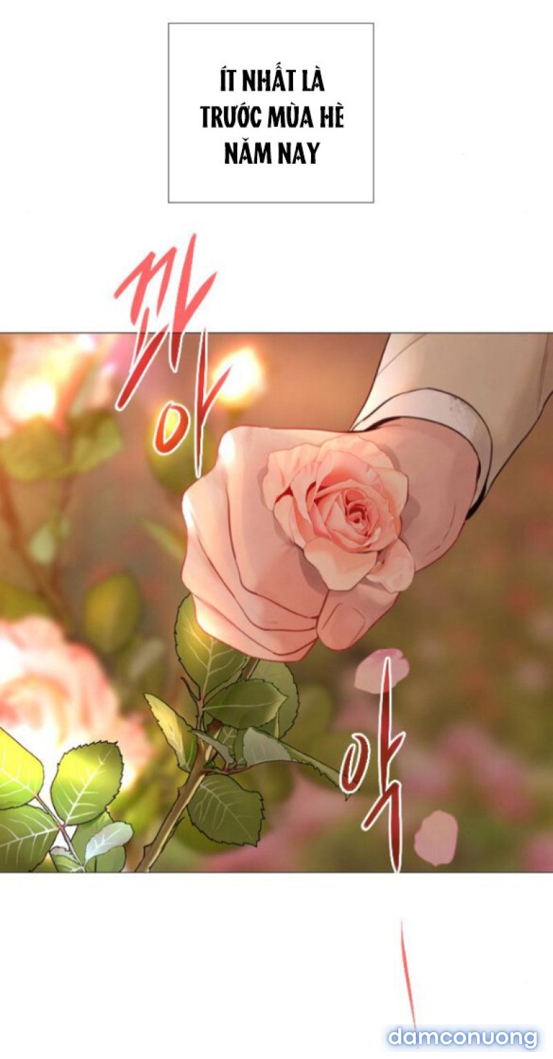 KHÓC ĐI HAY LÀ CẦU XIN TÔI CŨNG ĐƯỢC 