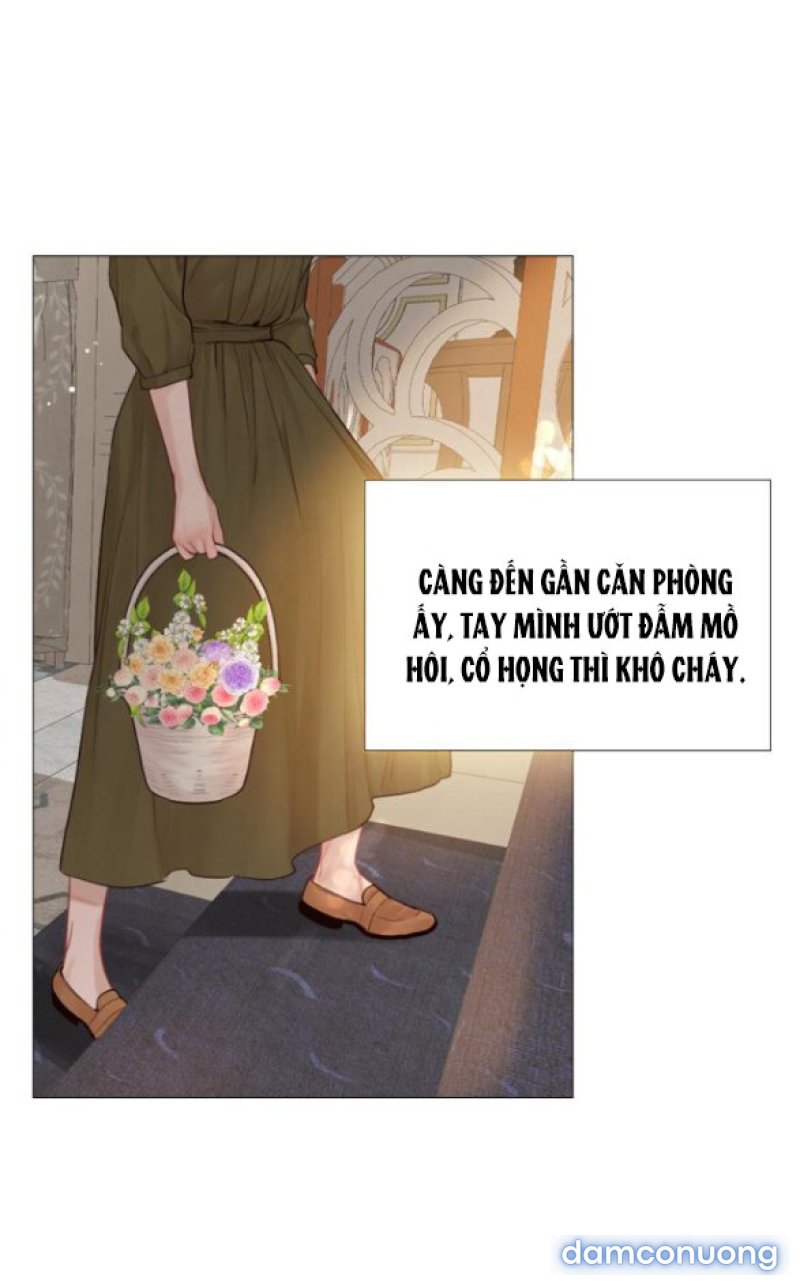 KHÓC ĐI HAY LÀ CẦU XIN TÔI CŨNG ĐƯỢC 