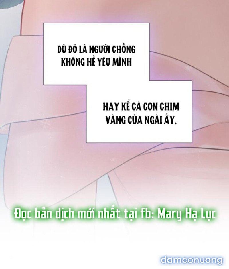 KHÓC ĐI HAY LÀ CẦU XIN TÔI CŨNG ĐƯỢC 