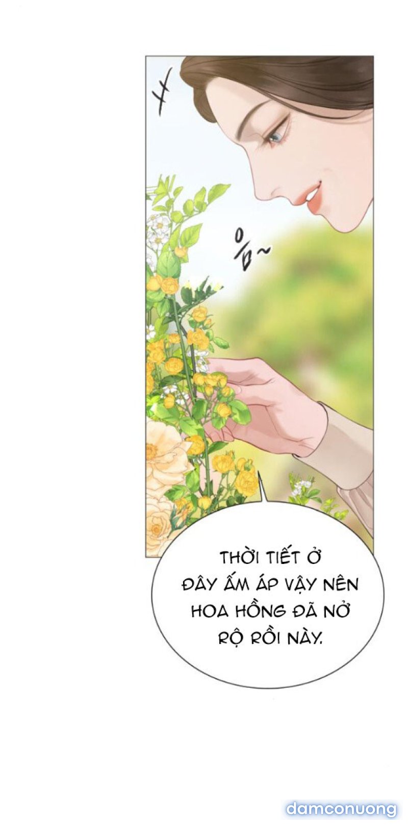 KHÓC ĐI HAY LÀ CẦU XIN TÔI CŨNG ĐƯỢC 