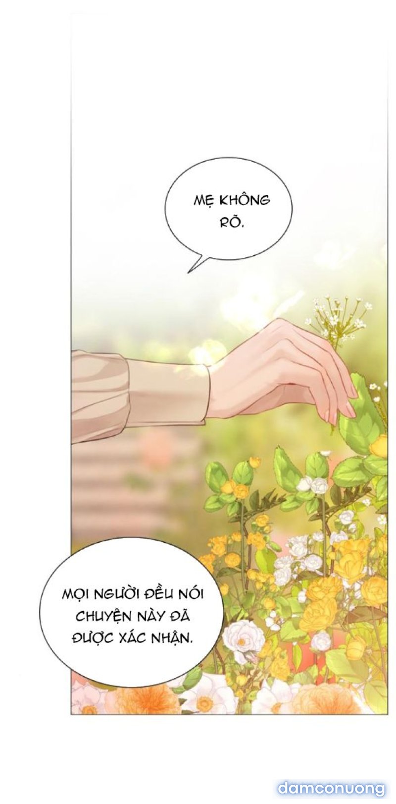 KHÓC ĐI HAY LÀ CẦU XIN TÔI CŨNG ĐƯỢC 