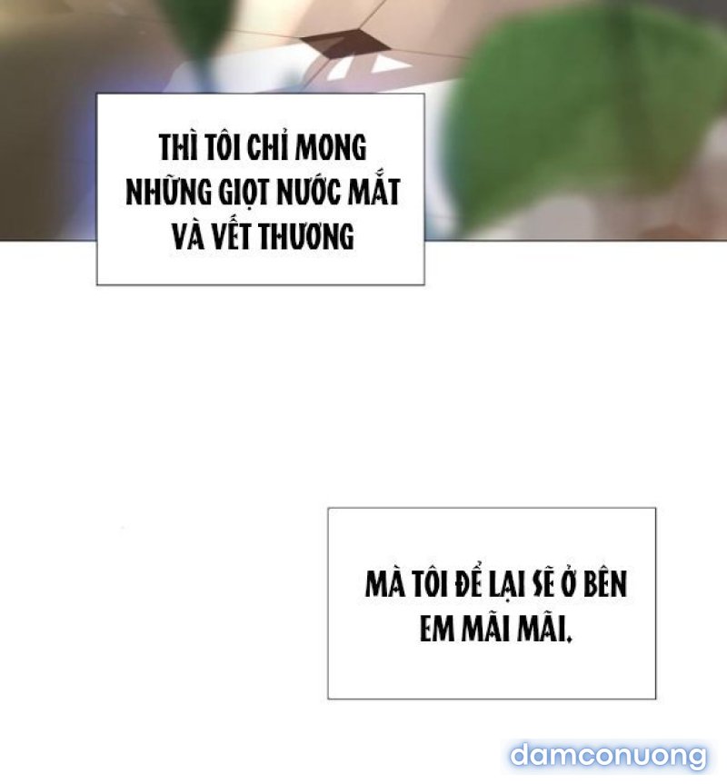 KHÓC ĐI HAY LÀ CẦU XIN TÔI CŨNG ĐƯỢC 