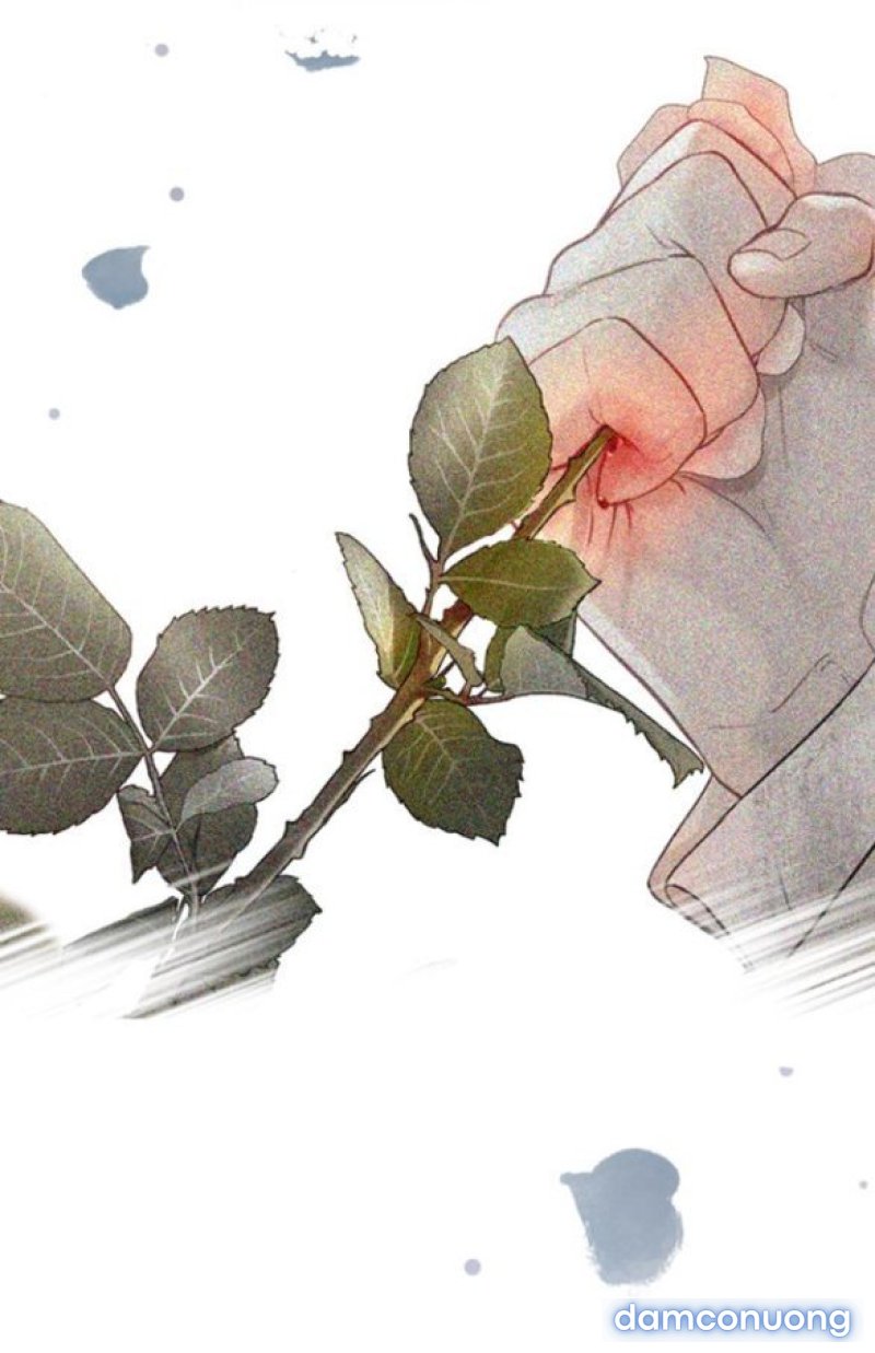 KHÓC ĐI HAY LÀ CẦU XIN TÔI CŨNG ĐƯỢC 