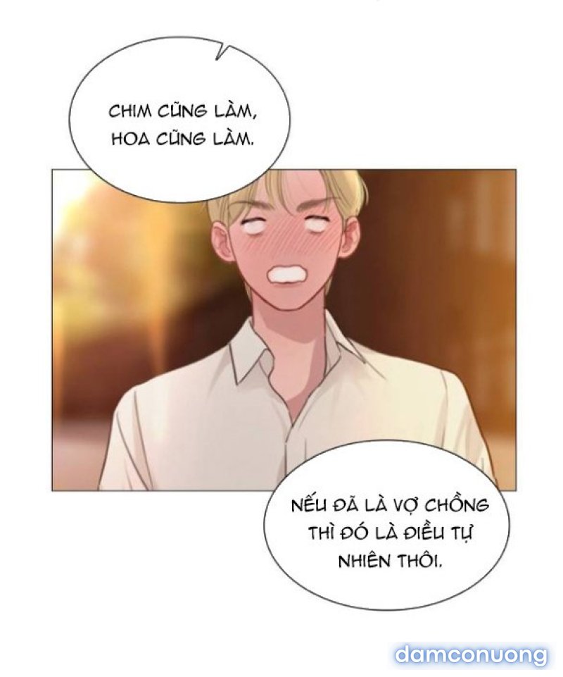 KHÓC ĐI HAY LÀ CẦU XIN TÔI CŨNG ĐƯỢC 