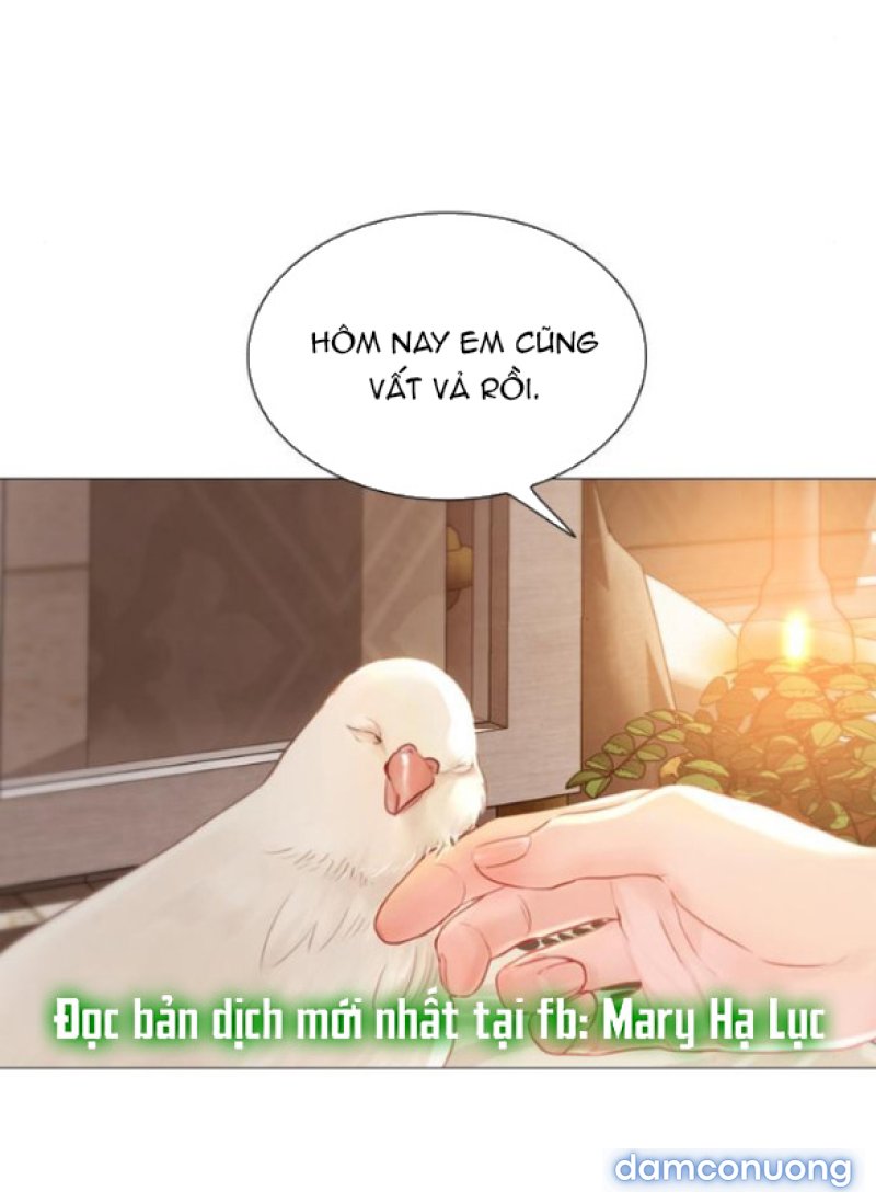 KHÓC ĐI HAY LÀ CẦU XIN TÔI CŨNG ĐƯỢC 