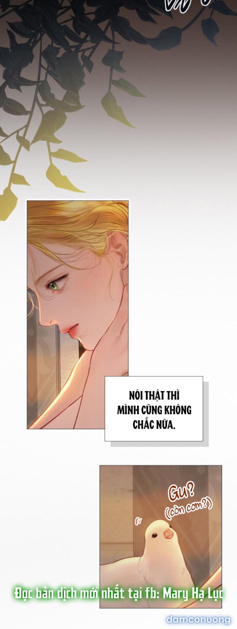 KHÓC ĐI HAY LÀ CẦU XIN TÔI CŨNG ĐƯỢC 