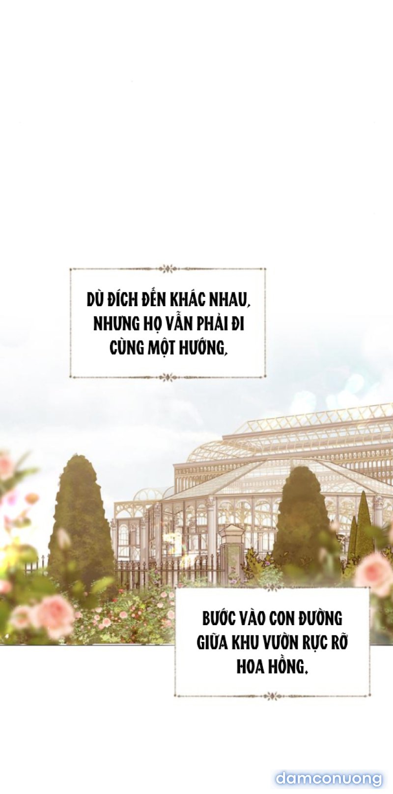 KHÓC ĐI HAY LÀ CẦU XIN TÔI CŨNG ĐƯỢC 