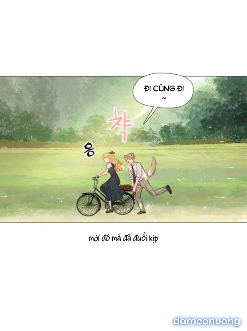 KHÓC ĐI HAY LÀ CẦU XIN TÔI CŨNG ĐƯỢC 