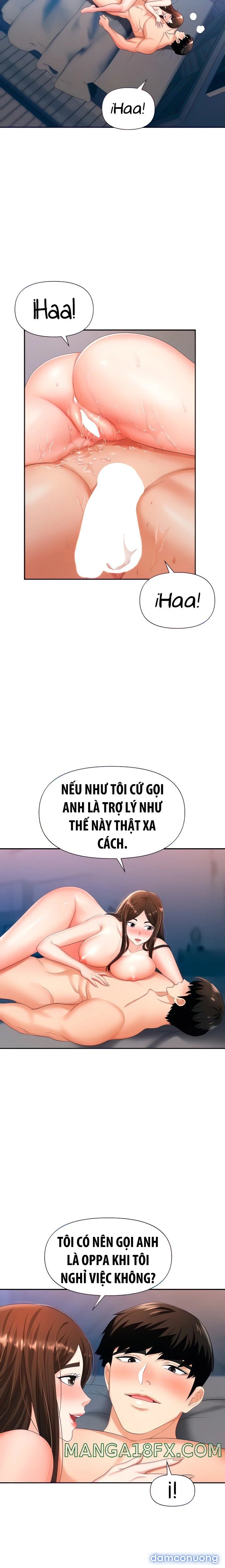 Sập Bẫy 
