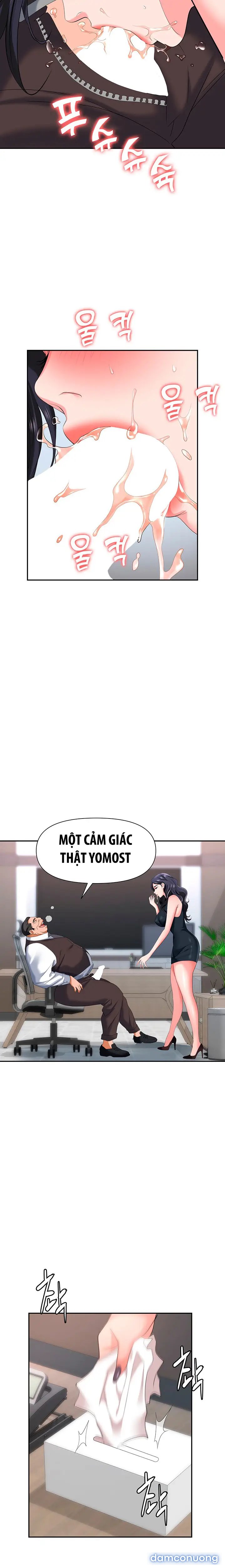 Sập Bẫy 