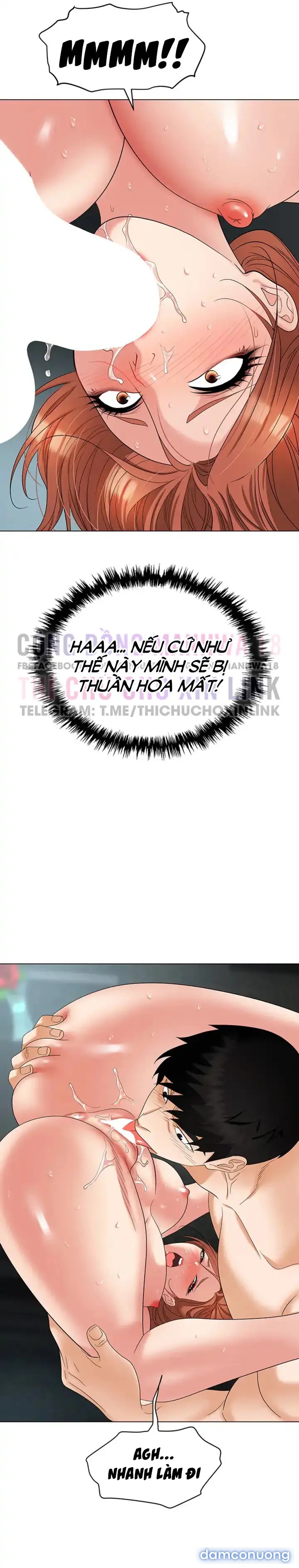 Sập Bẫy 