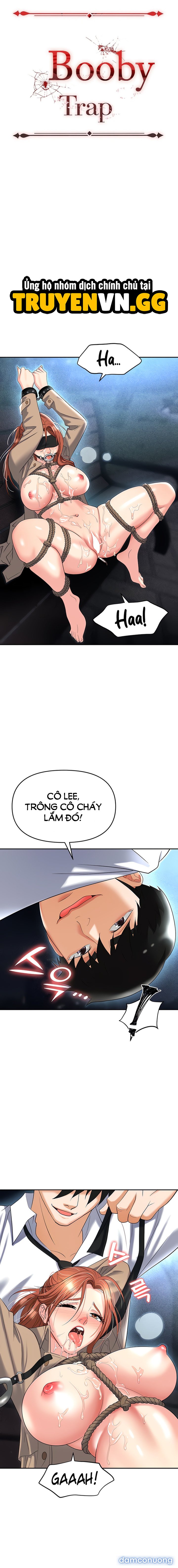 Sập Bẫy 