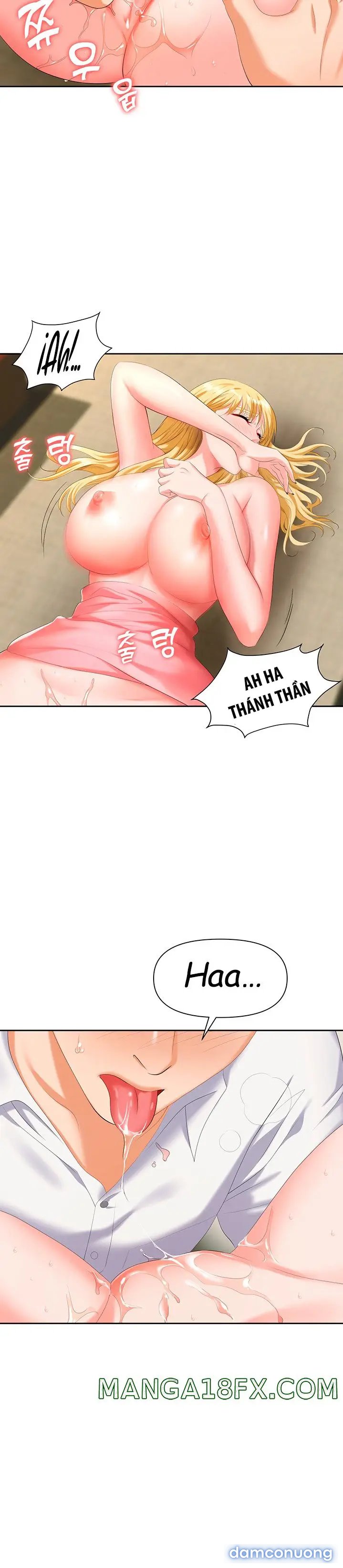Sập Bẫy 