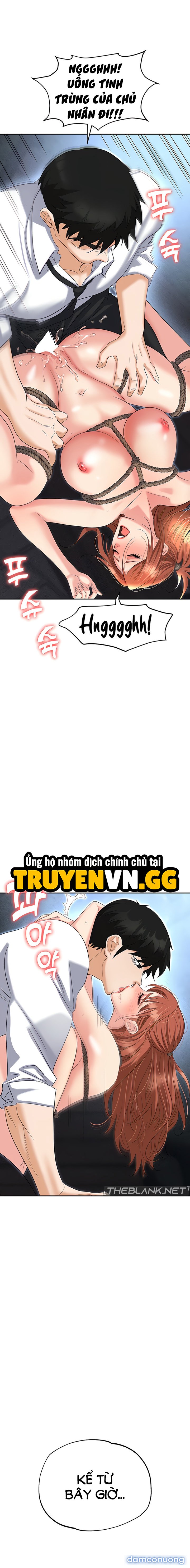 Sập Bẫy 