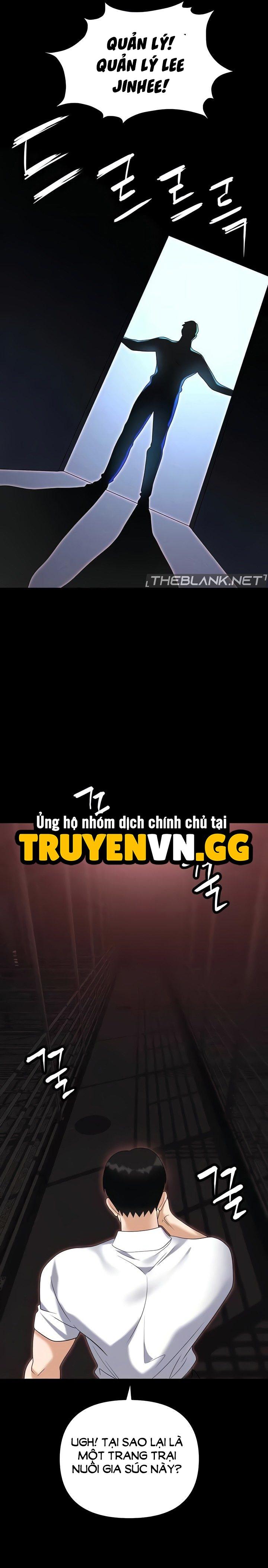 Sập Bẫy 