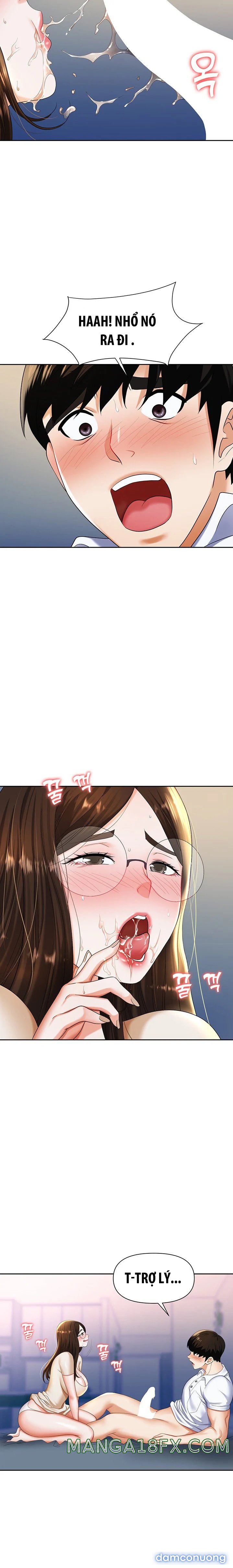 Sập Bẫy 