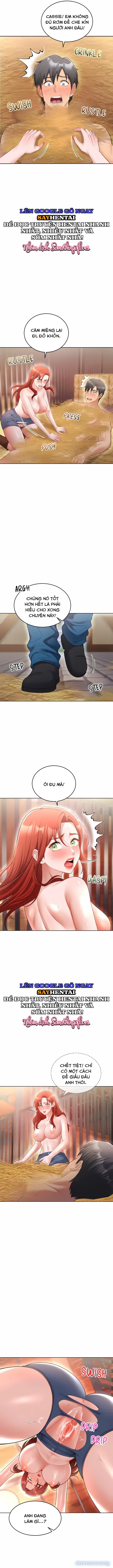 Đá Dục Vọng (KhôngChe) 